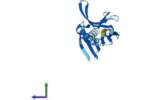 AlphaFold protein structure predicition of Mouse Recombinant Pigh Protein, UniprotID Q5M9N4