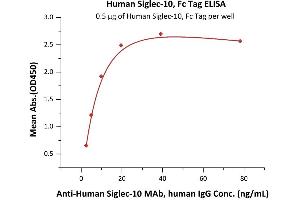Immobilized Human Siglec-10, Fc Tag (ABIN6938926,ABIN6950987) at 5 μg/mL (100 μL/well) can bind A Siglec-10 MAb, human IgG with a linear range of 0. (SIGLEC10 Protein (AA 17-546) (Fc Tag))