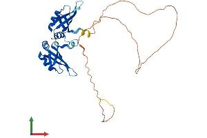 AlphaFold protein structure predicition of Human Recombinant HNRNPA0 Protein, UniprotID Q13151
