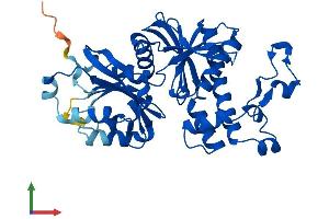 Protein Structure (PS) image for Pantothenate Kinase 3 (PANK3) (AA 1-370) protein (His tag) (ABIN7550493)