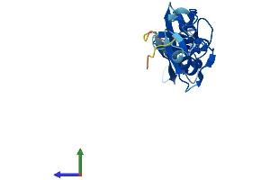 Protein Structure (PS) image for LIM Domain Only 1 (Rhombotin 1) (LMO1) (AA 1-156) protein (His tag) (ABIN7551314)