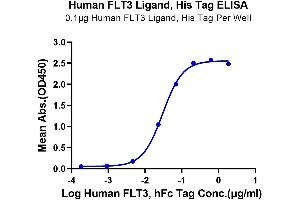 ELISA image for Fms-Related tyrosine Kinase 3 Ligand (FLT3LG) (AA 27-185) protein (His tag) (ABIN7274656)