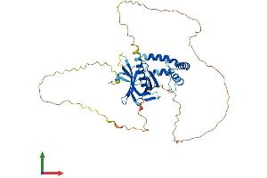 AlphaFold protein structure predicition of Human Recombinant SPRED2 Protein, UniprotID Q7Z698