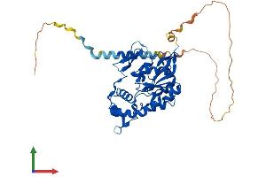 Protein Structure (PS) image for Heparan Sulfate (Glucosamine) 3-O-Sulfotransferase 3B1 (HS3ST3B1) (AA 1-390) protein (His tag) (ABIN7554132)