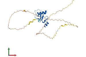 Protein Structure (PS) image for THAP Domain Containing 10 (THAP10) (AA 1-257) protein (His tag) (ABIN7544281)