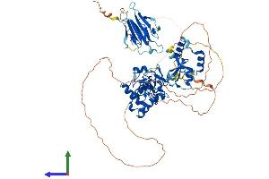 AlphaFold protein structure predicition of Mouse Recombinant Chfr Protein, UniprotID Q810L3
