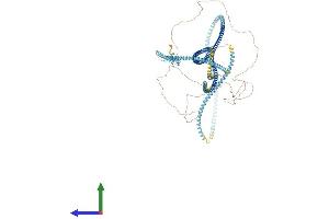 AlphaFold protein structure predicition of Human Recombinant CCDC40 Protein, UniprotID Q4G0X9