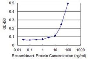 Detection limit for recombinant GST tagged KLHL4 is 1 ng/ml as a capture antibody. (Kelch-Like 4 抗体  (AA 1-100))