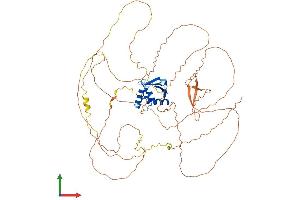 Protein Structure (PS) image for E74-Like Factor 1 (Ets Domain Transcription Factor) (ELF1) (AA 1-612) protein (His tag) (ABIN7557612)