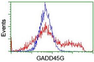 Image no. 1 for anti-Growth Arrest and DNA-Damage-Inducible, gamma (GADD45G) antibody (ABIN1497601) (GADD45G 抗体)