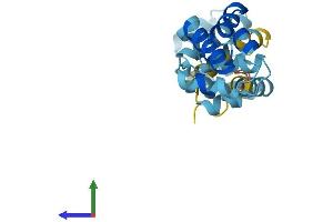 Protein Structure (PS) image for CASP2 and RIPK1 Domain Containing Adaptor with Death Domain (CRADD) (AA 1-199) protein (His tag) (ABIN7546836)