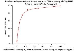 ELISA image for Cytotoxic T-Lymphocyte-Associated Protein 4 (CTLA4) (AA 37-160) (Active) protein (His tag,AVI tag,Biotin) (ABIN2180929)