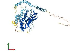 Protein Structure (PS) image for Patatin-Like phospholipase Domain Containing 3 (PNPLA3) (AA 1-413) protein (His tag) (ABIN7560067)