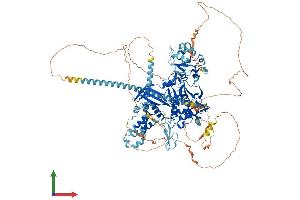 AlphaFold protein structure predicition of Human Recombinant USP8 Protein, UniprotID P40818