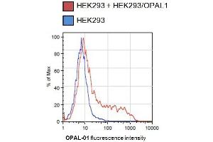 Flow cytometry analysis of OPAL-transfected HEK293 cells using mouse monoclonal antibody (OPAL1 抗体  (AA 152-342))