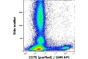 Flow cytometry surface staining pattern of human peripheral whole blood stained using anti-human CD75 (LN1) purified antibody (concentration in sample 5 μg/mL, GAM APC). (ST6GAL1 抗体)