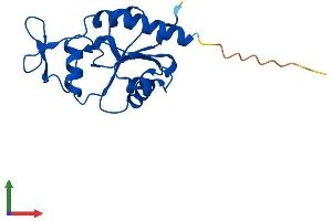 Protein Structure (PS) image for Magnesium-Dependent Phosphatase 1 (MDP1) (AA 1-176) protein (His tag) (ABIN7549341)