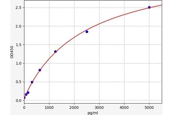 Insulin Receptor ELISA 试剂盒