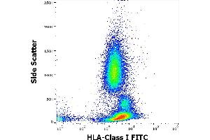 Flow cytometry surface staining pattern of human peripheral whole blood stained using anti-human HLA Class I (W6/32) FITC antibody (concentration in sample 3 μg/mL). (MICA 抗体  (FITC))