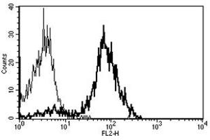Flow Cytometry (FACS) image for anti-CD86 (CD86) antibody (PE) (ABIN1106596) (CD86 抗体  (PE))