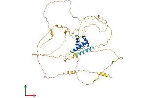 Protein Structure (PS) image for Iroquois Homeobox 3 (IRX3) (AA 1-507) protein (His tag) (ABIN7556743)