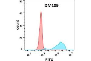 Flow cytometry analysis with Anti-B7-1 (DM109) on Expi293 cells transfected with human B7-1 (Blue histogram) or Expi293 transfected with irrelevant protein (Red histogram). (CD80 抗体  (AA 35-242))