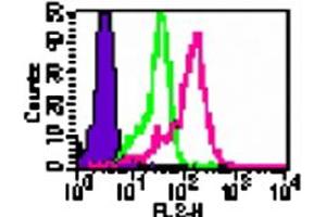Intracellular flow cytometric analysis of TLR1 in human PBMCs (monocyte-gated) using TLR1 polyclonal antibody  at 0. (TLR1 抗体  (AA 400-450))