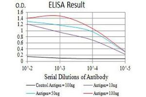 Black line: Control Antigen (100 ng),Purple line: Antigen (10 ng), Blue line: Antigen (50 ng), Red line:Antigen (100 ng) (P2RY8 抗体)