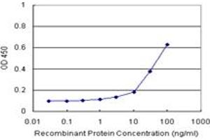 Sandwich ELISA detection sensitivity ranging from 3 ng/mL to 100 ng/mL. (DNAJB6 (人) Matched Antibody Pair)