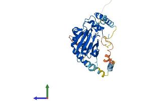 Protein Structure (PS) image for Aspartate beta-Hydroxylase Domain Containing 2 (ASPHD2) (AA 1-369) protein (His tag) (ABIN7552394)