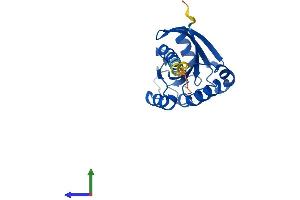 Protein Structure (PS) image for RAB9B, Member RAS Oncogene Family (RAB9B) (AA 1-201) protein (His tag) (ABIN7551249)