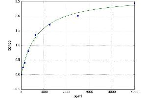 Ficolin (Collagen/fibrinogen Domain Containing Lectin) 2 (Hucolin) (FCN2) ELISA Kit