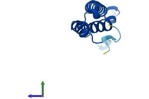 Protein Structure (PS) image for Presenilin Enhancer 2 Homolog (PSENEN) (AA 1-101) protein (His tag) (ABIN7560569)