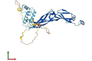 AlphaFold protein structure predicition of Mouse Recombinant Dnajb5 Protein, UniprotID O89114 (DNAJB5 Protein (AA 1-348) (His tag))