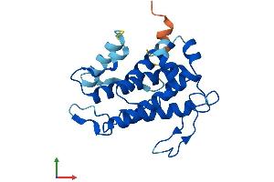 AlphaFold protein structure predicition of Mouse Recombinant Mob3a Protein, UniprotID Q8BSU7