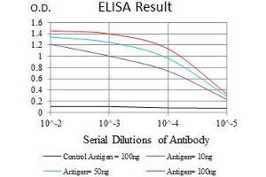 Black line: Control Antigen (100 ng), Purple line: Antigen(10 ng), Blue line: Antigen (50 ng), Red line: Antigen (100 ng), (EGFR Mutant (AA 693-893) 抗体)