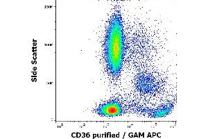 Flow cytometry surface staining pattern of human peripheral whole blood stained using anti-human CD36 (TR9) purified antibody (concentration in sample 1 μg/mL, GAM APC). (CD36 抗体)