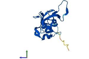 Protein Structure (PS) image for Ribosomal Protein L23 (RPL23) (AA 1-140) protein (His tag) (ABIN7551431)