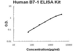 Human B7-1/CD80 Accusignal ELISA Kit Human B7-1/CD80 AccuSignal ELISA Kit standard curve. (CD80 ELISA 试剂盒)