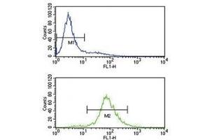 BCL6 antibody flow cytometry analysis of Jurkat cells (bottom histogram) compared to a negative control (top histogram). (BCL6 抗体  (AA 519-547))
