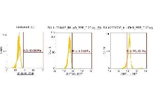 Flow Cytometry (FACS) image for anti-Lactate Dehydrogenase B (LDHB) (AA 1-334) antibody (PE) (ABIN5565786) (LDHB 抗体  (AA 1-334) (PE))