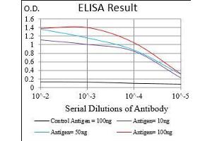 Black line: Control Antigen (100 ng), Purple line: Antigen(10 ng), Blue line: Antigen (50 ng), Red line: Antigen (100 ng), (RANGAP1 抗体  (AA 359-587))