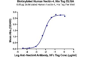 ELISA image for Poliovirus Receptor-Related 4 (PVRL4) (AA 32-351) protein (His-Avi Tag,Biotin) (ABIN7275314)