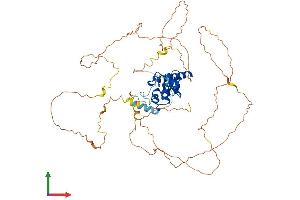 Protein Structure (PS) image for HIV-1 Rev Binding Protein (HRB) (AA 1-561) protein (His tag) (ABIN7559509)