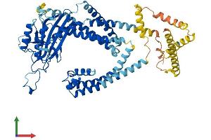 Protein Structure (PS) image for Polycystic Kidney Disease 2-Like 2 (PKD2L2) (AA 1-621) protein (His tag) (ABIN7561673)