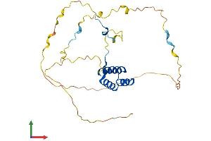 AlphaFold protein structure predicition of Human Recombinant HOXC4 Protein, UniprotID P09017