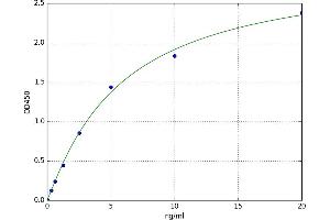 A typical standard curve (GJB1 ELISA 试剂盒)