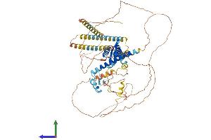 AlphaFold protein structure predicition of Human Recombinant FOXP1 Protein, UniprotID Q9H334