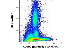 Flow cytometry surface staining pattern of human peripheral blood stained using anti-human CD200 (OX-104) purified antibody (concentration in sample 4 μg/mL) GAM APC. (CD200 抗体)