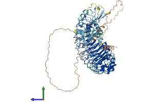 AlphaFold protein structure predicition of Human Recombinant LRRD1 Protein, UniprotID A4D1F6 (LRRD1 Protein (AA 1-860) (His tag))